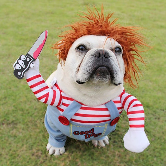 Costume d'Halloween pour animaux de compagnie